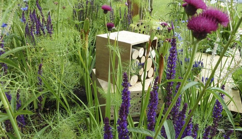 Create a garden for bees