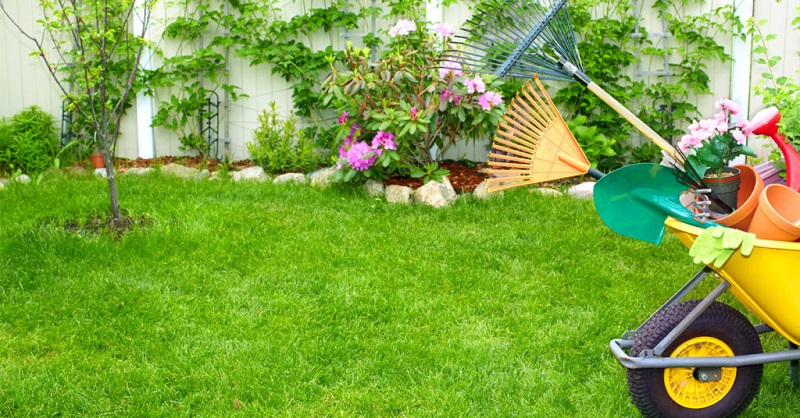 How to better maintain your lawn