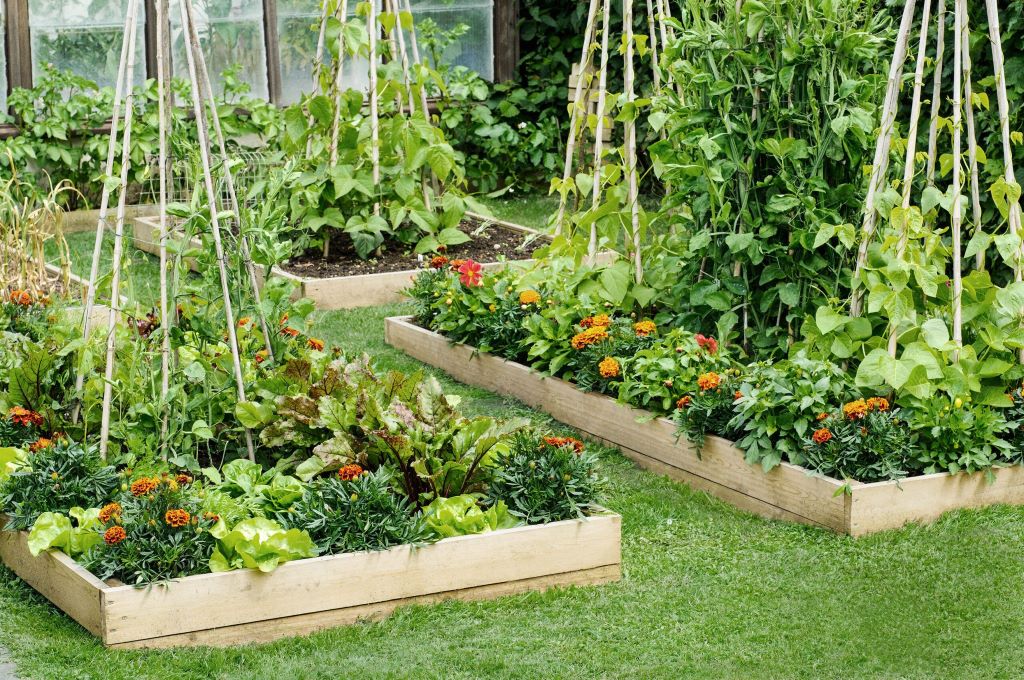 What do I fill my raised garden bed with?