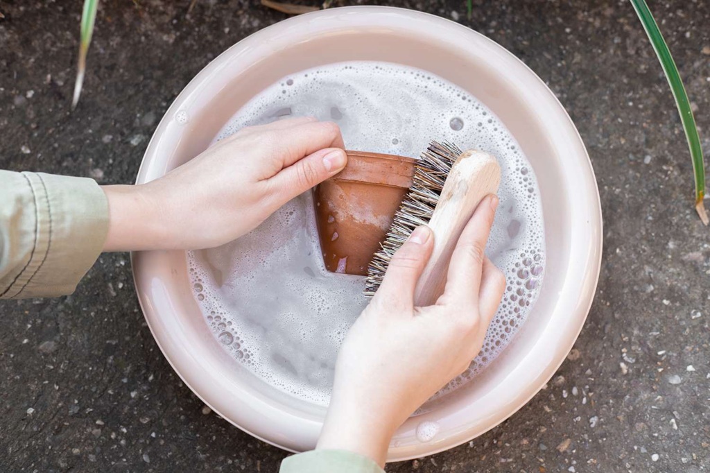 A Comprehensive Guide to Cleaning Terra Cotta Pots 
