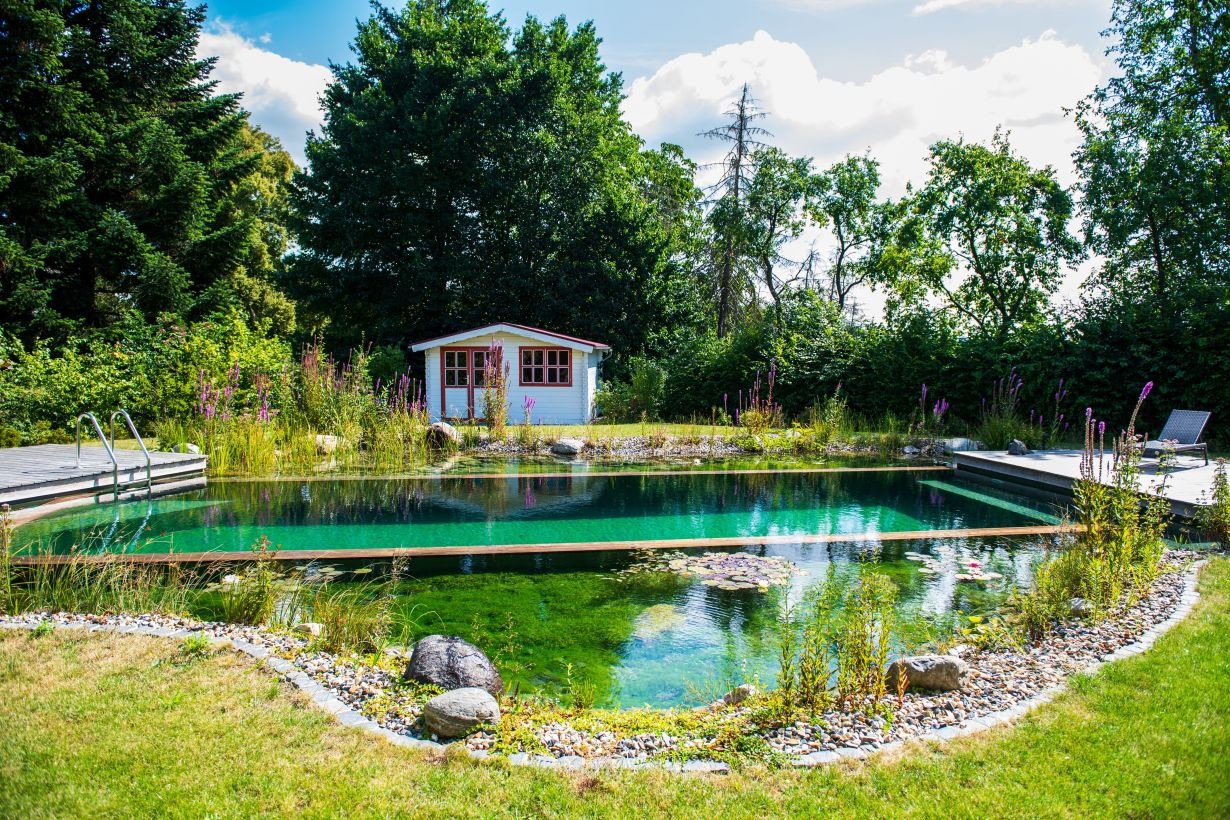 How do I maintain a natural swimming pond