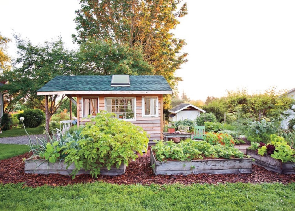 What are front yard vegetable gardens and why are they popular in Canada
